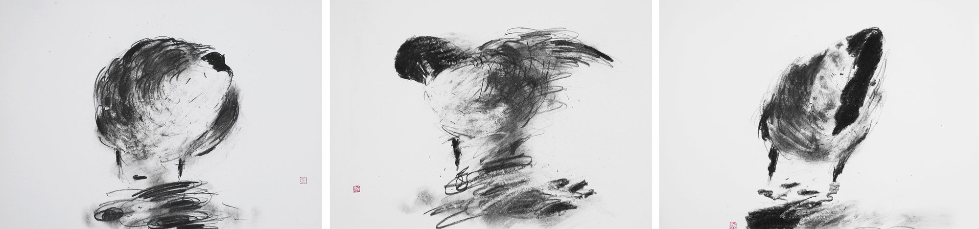 Wild Goose Preening, 2021